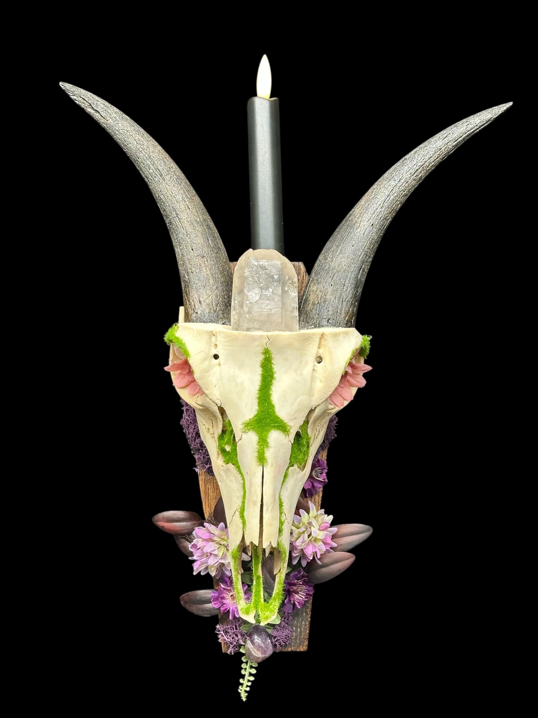 Deer Skull with Goat Horns & Quartz Candle Holder